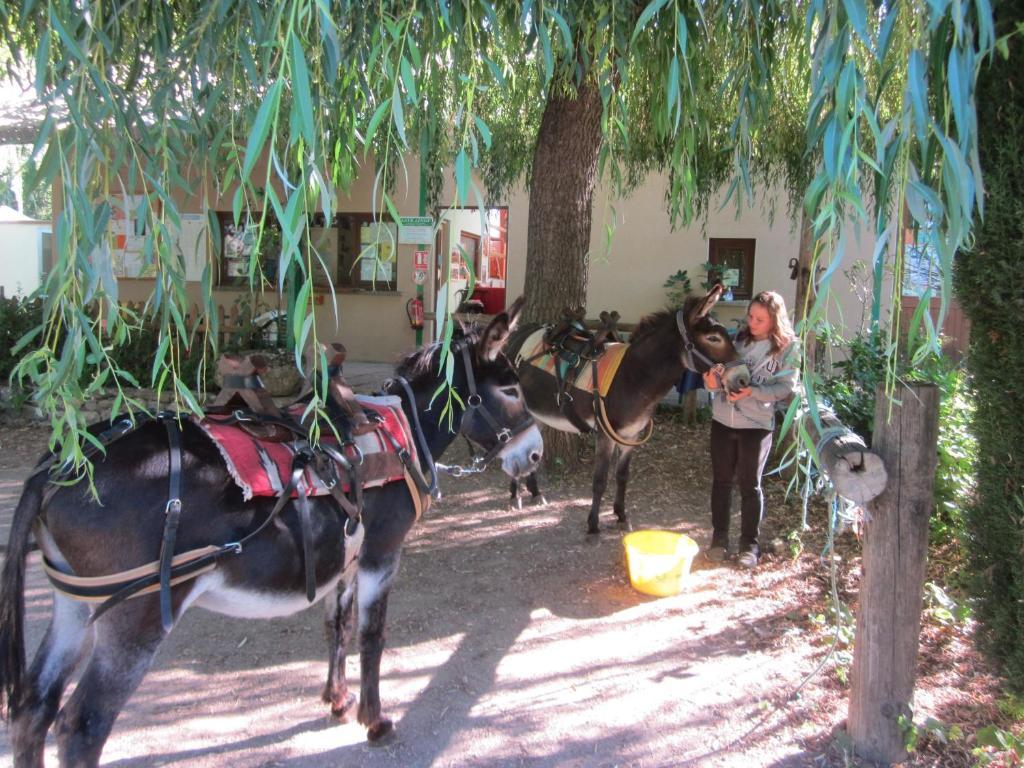 Le Vallon Ispagnac ภายนอก รูปภาพ